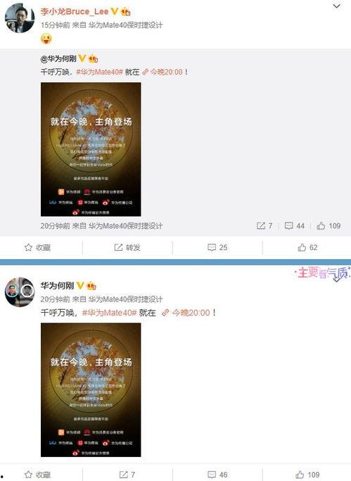 小万爆料视频大全最新网站,最新网站大揭秘！