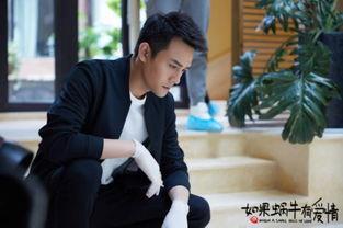 电视剧如果蜗牛有爱情在线观看,浪漫悬疑，爱情与正义的交织之旅