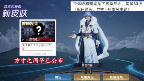 弈星皮肤爆料最新视频,神秘棋局，星辰璀璨