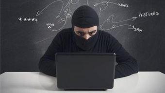 黑客在线观看,黑客在线行动全记录