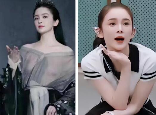 赵樱子被爆料视频,真相与争议